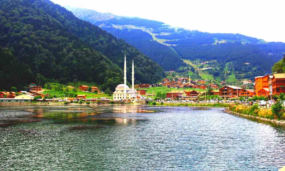 Dinar Tourism Company offers the most luxurious offers